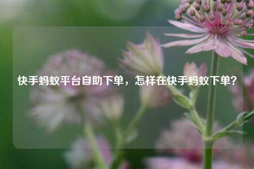 快手蚂蚁平台自助下单，怎样在快手蚂蚁下单？