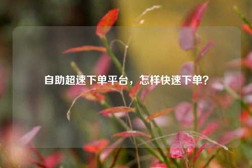 自助超速下单平台，怎样快速下单？