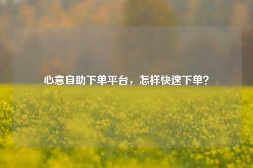 心意自助下单平台，怎样快速下单？