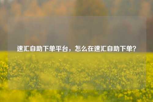 速汇自助下单平台，怎么在速汇自助下单？