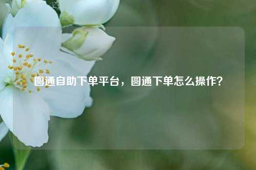 圆通自助下单平台，圆通下单怎么操作？