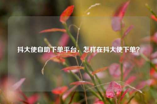抖大使自助下单平台，怎样在抖大使下单？