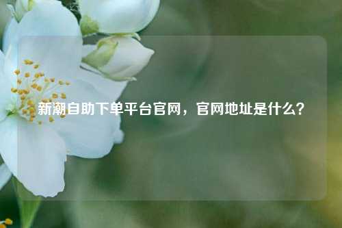 新潮自助下单平台官网，官网地址是什么？