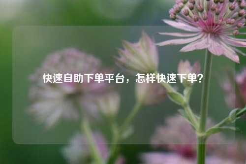 快速自助下单平台，怎样快速下单？
