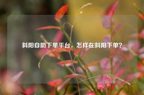 斜阳自助下单平台，怎样在斜阳下单？